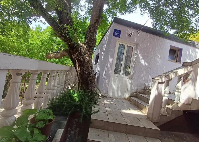 Babic 公寓 克罗诺维察