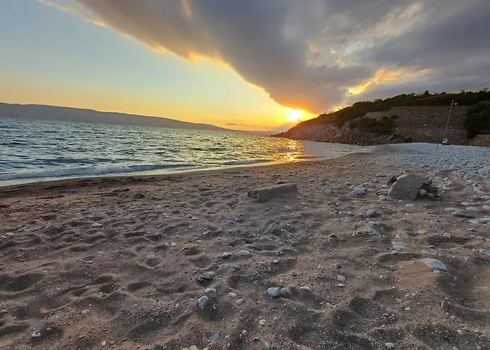 Babic 克罗诺维察