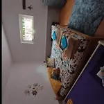 Apartman Babic Klenovica