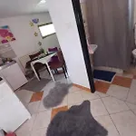 Babic * Klenovica